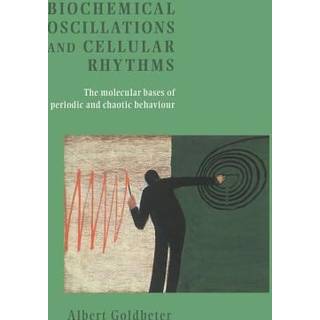 Biochemical Oscillations and Cellular Rhythms