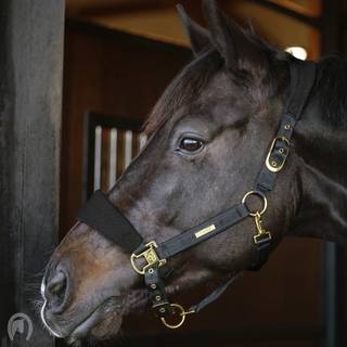 CATAGO FIR-Tech klokker - Pony