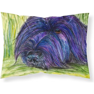 """" Caroline's Treasures SS8520Pillowcase Braid Moisture Wicking Fabric Standard Pillowcase Large Multicolor """"