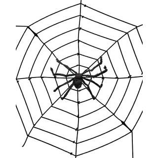 Riesen Spinnennetz mit ekliger Spinne