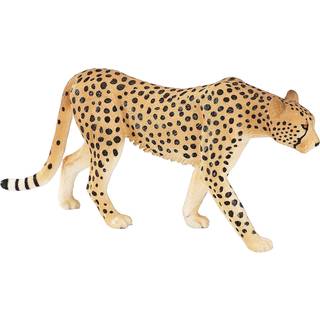 Mojo Gepard han