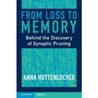 From Loss to Memory