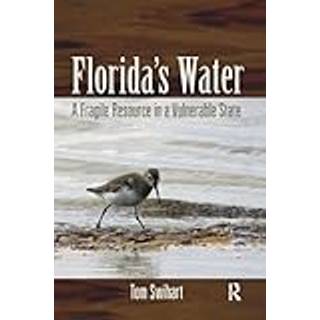 Florida's Water