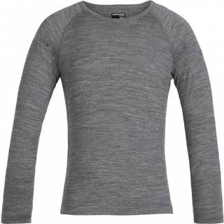 Icebreaker Kids 200 Oasis L/S Crewe Merino undertøj Børn størrelse 6 farve grå