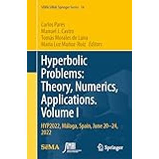 Hyperbolic Problems: Theory, Numerics, Applications.... (Bog, Hardback, Engelsk)