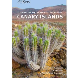 Field Guide to the Wild Flowers of the Canary Islands