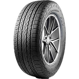 Antares Majoris R1 XL BSW 265/35R22 102V