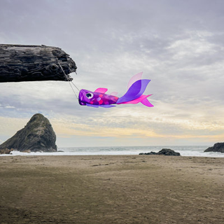I brisen 5222 - 15 -tommer lavendel Damsel Fish Windsock - Farverig Purple Fishsock hængende haveindretning med detaljeret trykt grafik