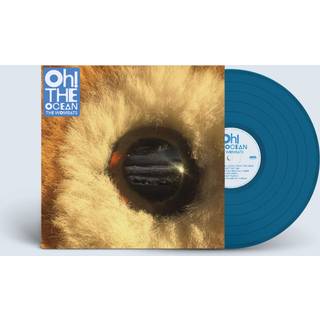 The Wombats - Oh the Ocean