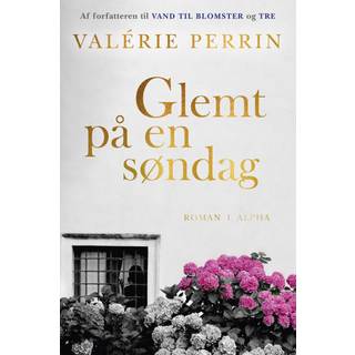 Glemt på en søndag - Valérie Perrin (På lager i butik)
