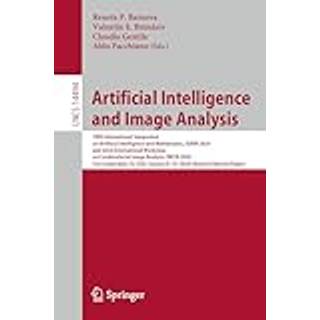 Artificial Intelligence and Image Analysis