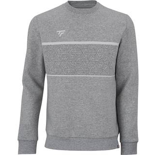 Tecnifibre Team Sweater Silver