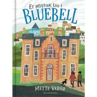 Et mystisk lys i Bluebell