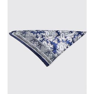 Mens Vintage Blue Printed Scarf
