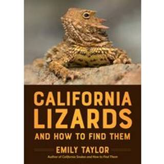 California Lizards and How to Find Them