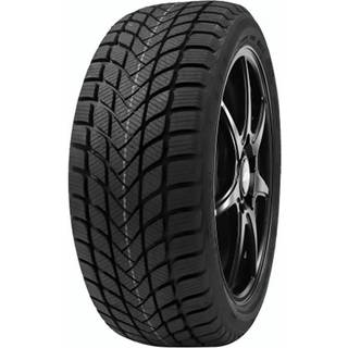 Delinte WD6 3PMSF 155/70R13 75T