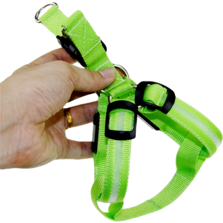 LED Hundesele med lys