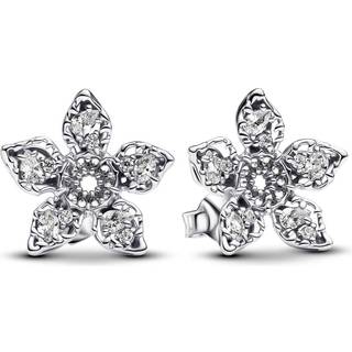 Pandora Ohrstecker - 293573C01 - silber