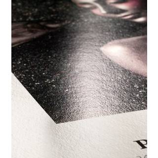 Hahnemühle Photo Rag Metallic 340 g/m² - 36" x 12 meter