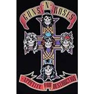 Guns N' Roses Appetite for Destruction Flag