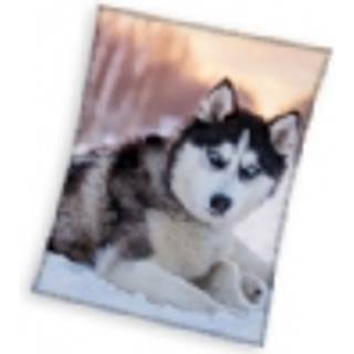 Slædehund Coral Fleece tæppe - 150 x 200 cm