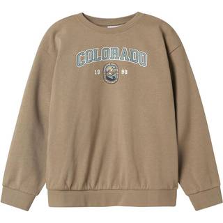 Regular Fit Sweatshirt