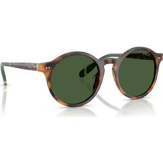 Polo Ralph Lauren PH4204U 608971 53 Solbriller Mænd Tortoiseshell - Glossy Tortoise - 53mm