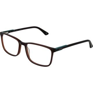 Hackett HEK129 147 56 Briller Mænd Brun - Dark Brown - 56mm