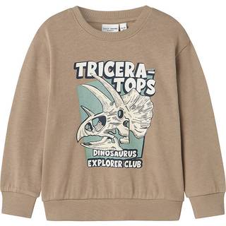 Name It Weathered Teak Dinosaurus Sweatshirt