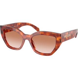 Prada Kvinde PR A09S 11P70E Solbriller Acetat Brun Brun Sommerfugl Normal Skygge