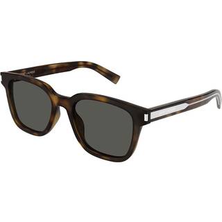 Saint Laurent SL 711/K Asian Fit 003 54 Solbriller Mænd Tortoiseshell - Dark Tortoise - 54mm