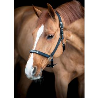 Horseguard Malva Grime - Italian Plum - XFULL