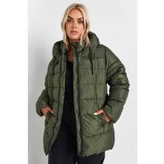 Yours Curve Yours Curve Green Sporty Short Coat