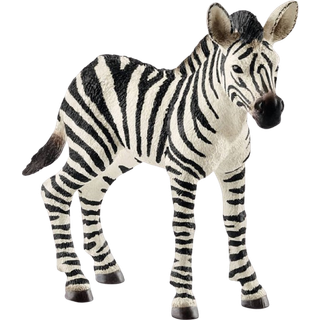 Schleich - Zebra foal