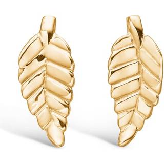 23911286 - Blossom blad ørestikker i forgyldt
