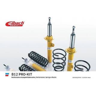 Eibach B12 Pro-Kit Sportsundervogn BMW E36