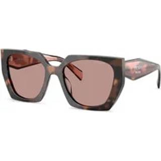 Prada Kvinde PR 15WS 23A60B Solbriller Acetat Skildpadde Brun Firkantet Normal