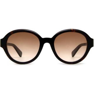 Chloé Kvinde CH0156SK 002 Solbriller Acetat Havana Brun Pantos Skygge