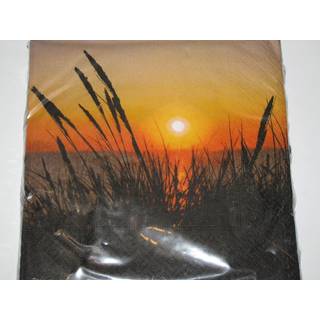 Frokostserviet, 3-lags, Beach View, 20 stk.