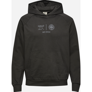 HALO Sweatshirt, Unisex, Str. S, Grå