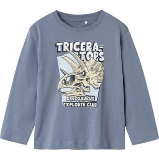 Name It Flint Stone Dinosaurus Top