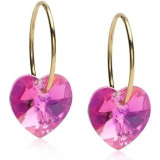 Gt Heart Rose Titanium Øreringe fra Blomdahl 15-1355-03
