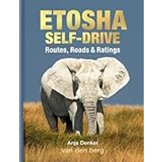 Etosha Self-Drive