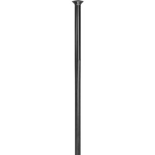 DT Swiss Revolite Straigh Pull eger sort - Egerlængde 304 mm