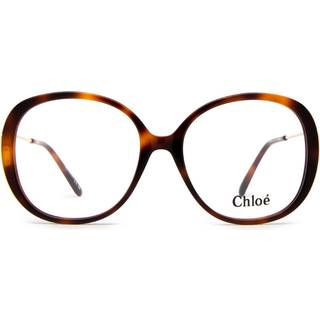 Chloé Kvinde CH0172O 002 Optiske stel Acetat Havana Transparent Rund