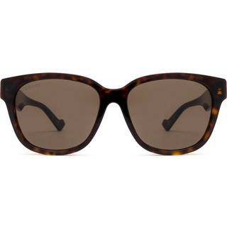 Gucci Mand GG1430SK 002 Solbriller Acetat Havana Brun Firkantet Normal