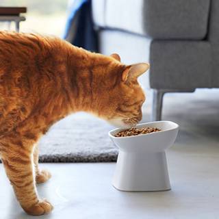 Keramik-kæledyrsskål Tårn