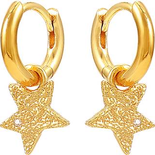 Hultquist Astra øreringe i forgyldt med stjernevedhæng