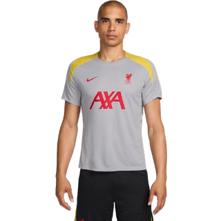 Maskinstrikket Liverpool FC Strike Third Nike Dri-FIT-fodboldtrøje med korte ærmer til mænd - grå