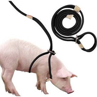 Mini grisesele & snor Justerbar 8 fod lang reb til sm til mellemstore kledyrsgrise